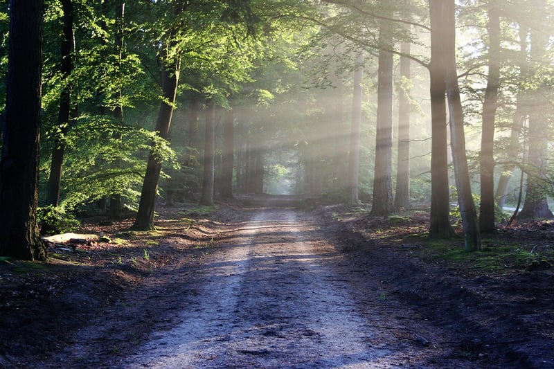 Unexplored paths